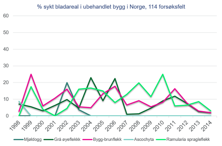 Procent af sykt bladareal i ubehandlet bygg i Norge, 114 forsøksfelt