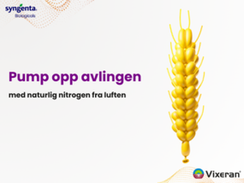 VIXERAN - Nitrogenfikserende bakterier til effektiv og bærekraftig produksjon
