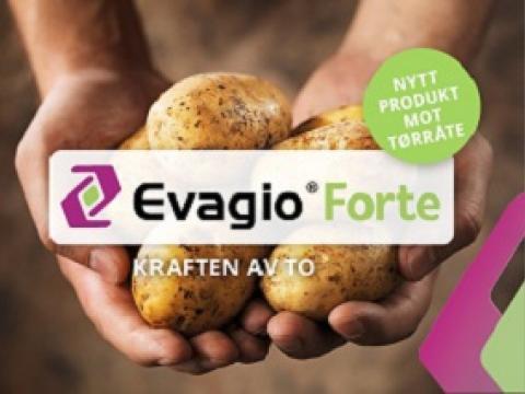 EVAGIO Forte - mot tørråte i potet