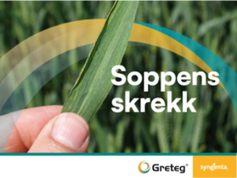 GRETEG - Soppens skrekk