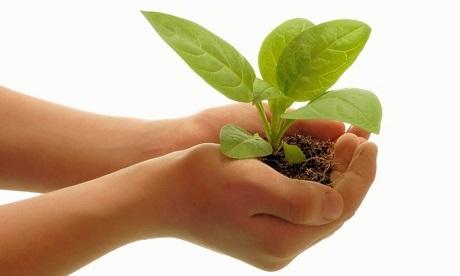 Syngenta