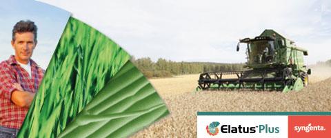Elatus Plus