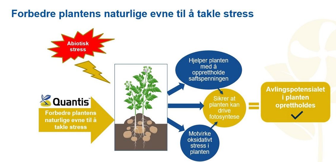 Forbedre plantens naturlige evne til å takle stress
