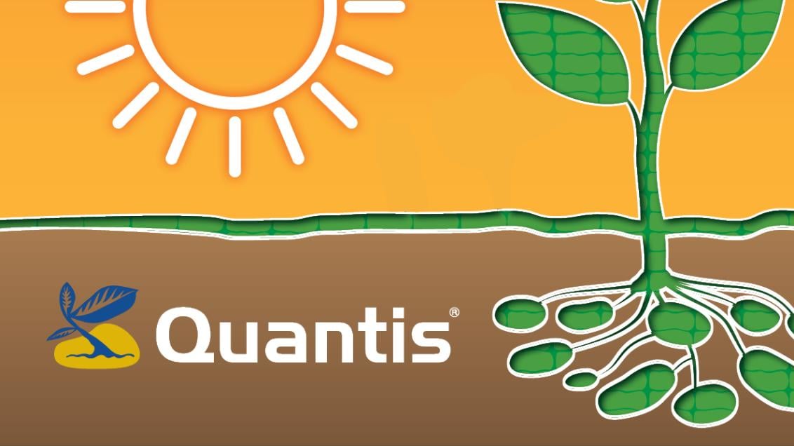 QUANTIS biostimulant