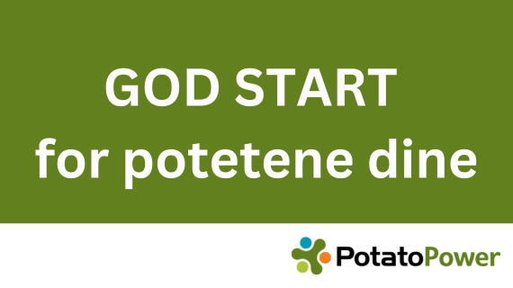 God start for potetene dine
