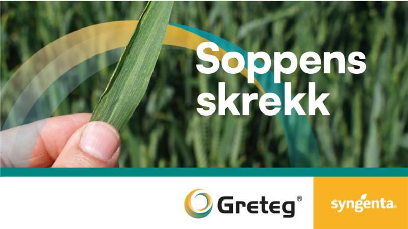 GRETEG - Soppens skrekk