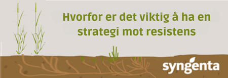 Hva er herbicidresistens?