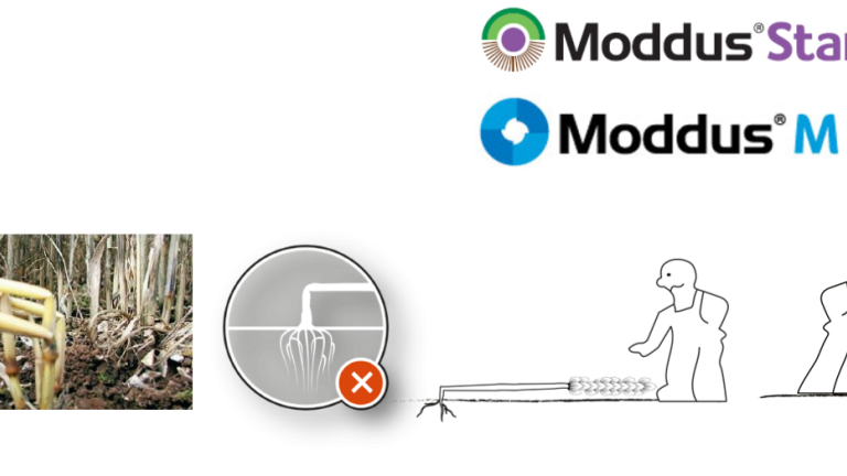 Moddus M