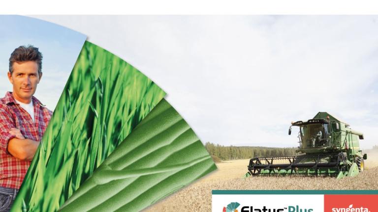 Elatus Plus