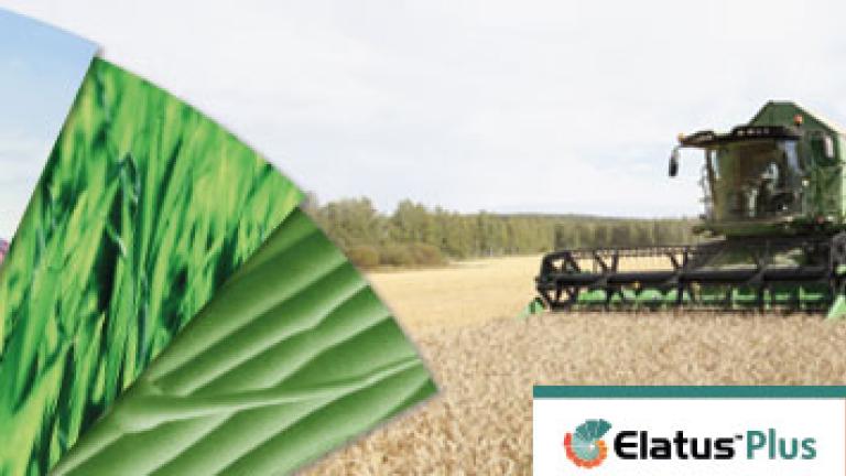 Elatus Plus