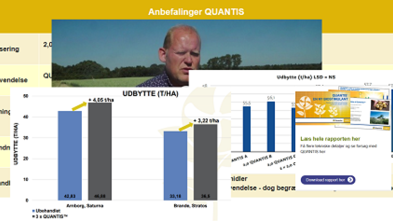 Quantis