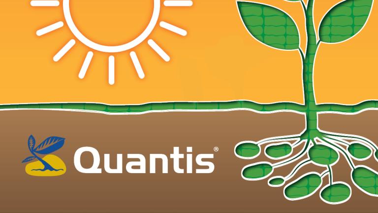 QUANTIS biostimulant