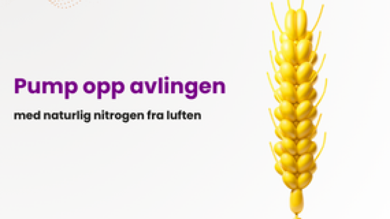 VIXERAN - Nitrogenfikserende bakterier til effektiv og bærekraftig produksjon