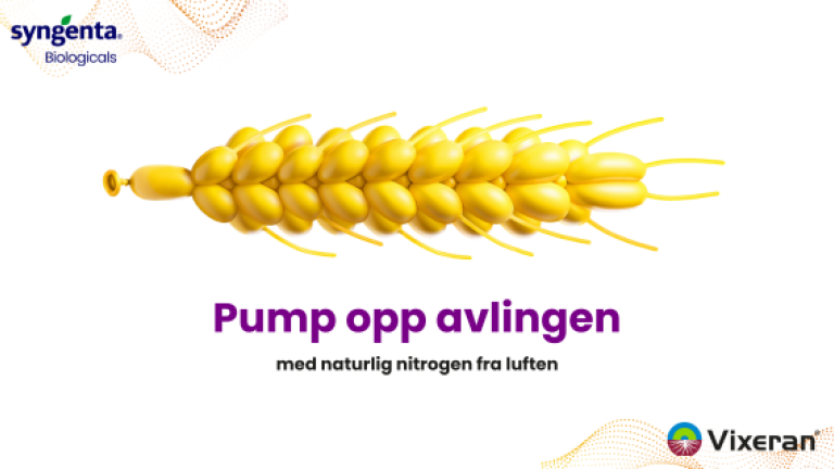 VIXERAN - Nitrogenfikserende bakterier til effektiv og bærekraftig produksjon