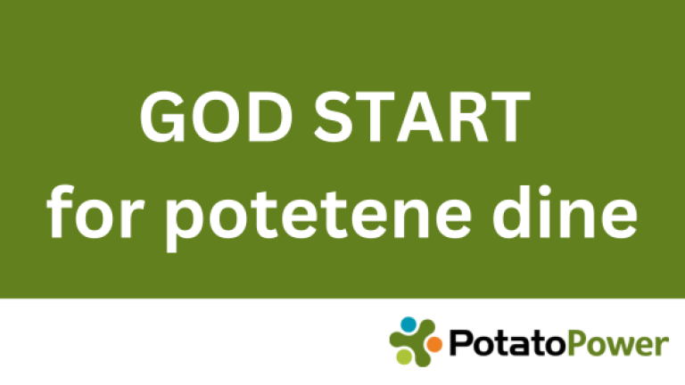 God start for potetene dine