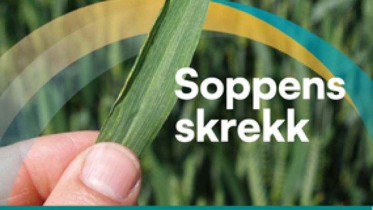 GRETEG - Soppens skrekk