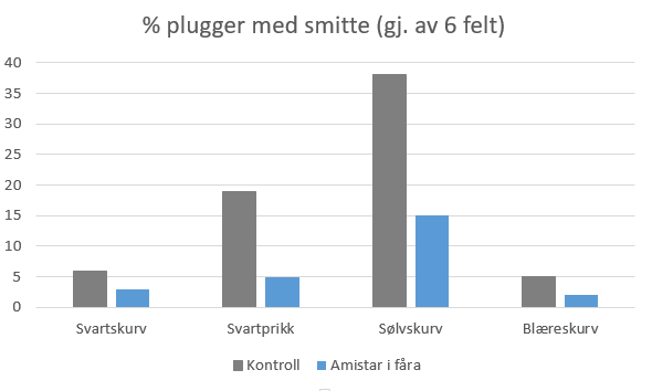 % plugger med smitte