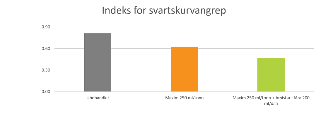 Indeks for svartskurvangrep