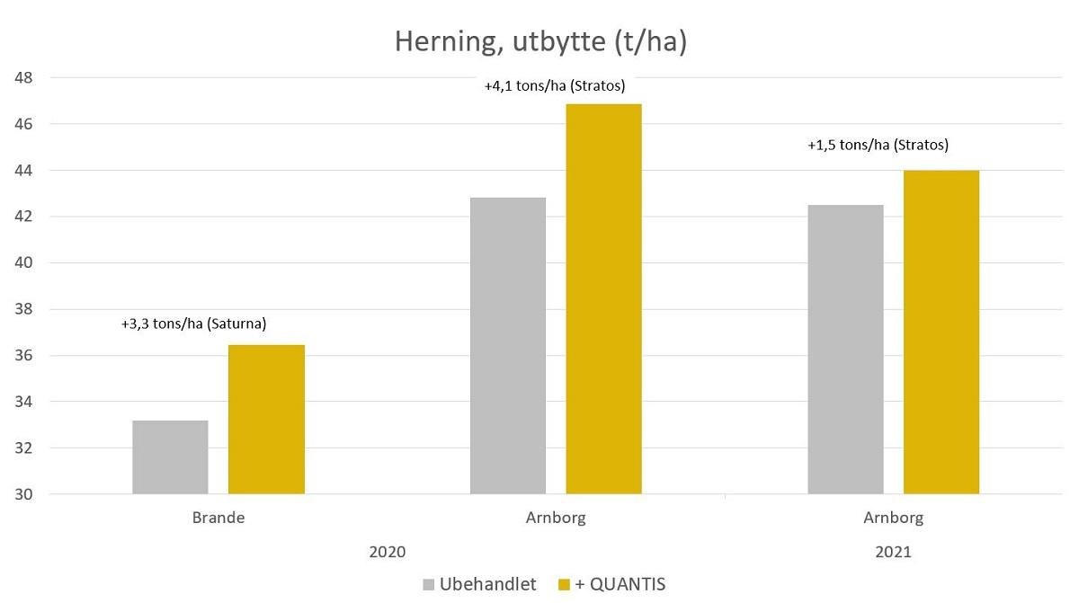 Quantis Herning utbytte