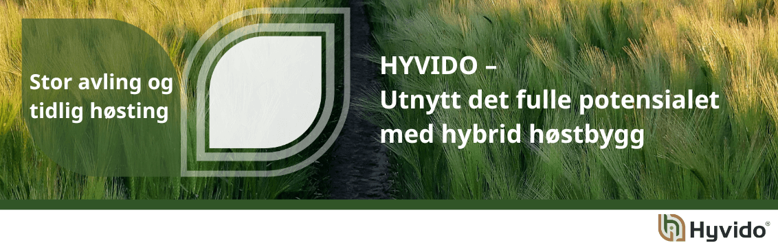 Hyvido høstbygg