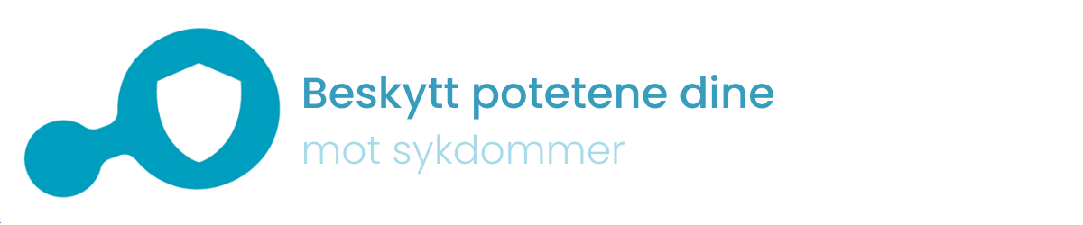 Beskytt potetene dine mot sykdommer